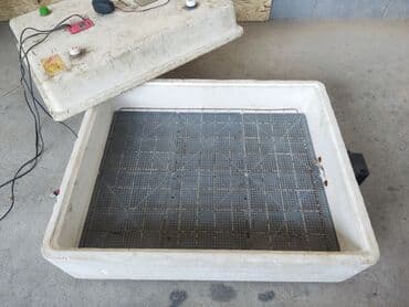 торговые оборудование: Инкубатор для яиц, большой - Материал корпуса: теплоизолирующий — 2