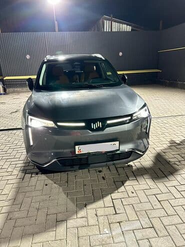 Weltmeister W6, 2022 г., 60 км, Передний, В наличии