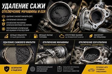 Профессиональные услуги по чип-тюнингу и программному отключению
