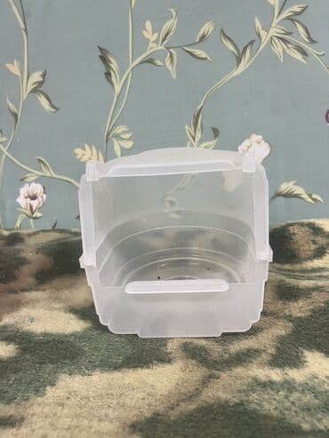 крыса домашняя: Продаются срочно две ванны для попугаев(птиц) так же можно ставить в — 4