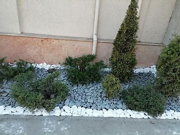 ремонт транзбоя: УСТАНОВКА АВТОПОЛИВНЫХ И МЕХАНИЧЕСКИХ СИСТЕМ ПОЛИВА | БИШКЕК — 9