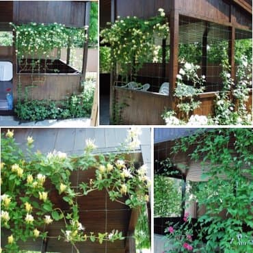 фитолампы для растений: Декор для дома и сада — 7