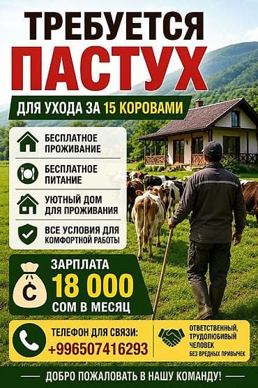 Требуется Пастух, Оплата: Ежемесячно, Питание