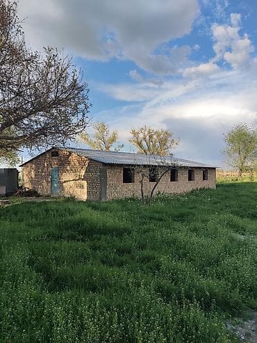 jack 4: Продаётся дом, участок 21 соток. Сарай кирпичный на 20 голов КРС — 4