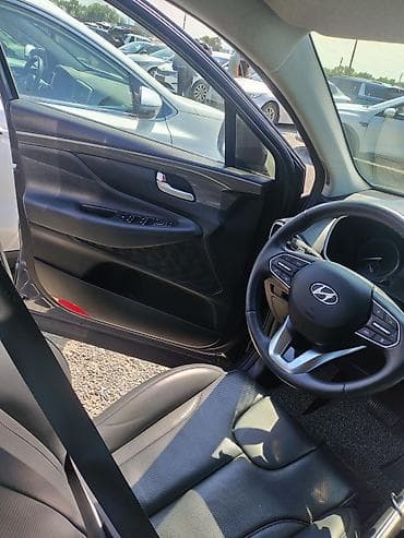 санион тиволи: Hyundai Santa Fe: 2020 г., 2.2 л, Автомат, Дизель, Кроссовер — 8