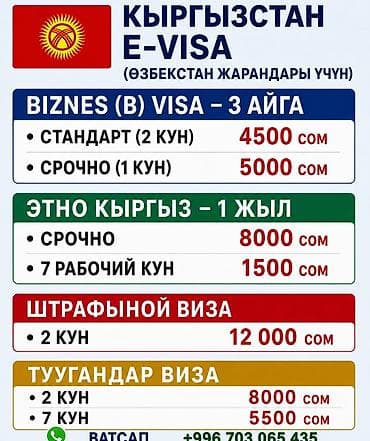пик: Виза+Регистрация-Прописка. Быстро Официально. Оформление виз в — 2