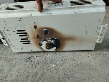 ноутбук каракол: Oasis — 1