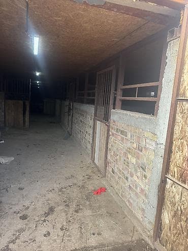 ул белорусская: 16 соток, Для бизнеса — 10