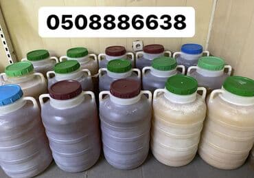 баночки для меда бишкек: Токтогульский горный чистый мёд! Оптом и в Розницу. Цена свыше 33кг — 3