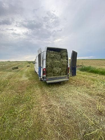 Mercedes-Benz Sprinter грузовой фургон (длинная база, высокий крыша) — 7