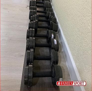 разборная гиря: Разборные гантели FAMILY SPORT - Материал: чугунные диски — 2