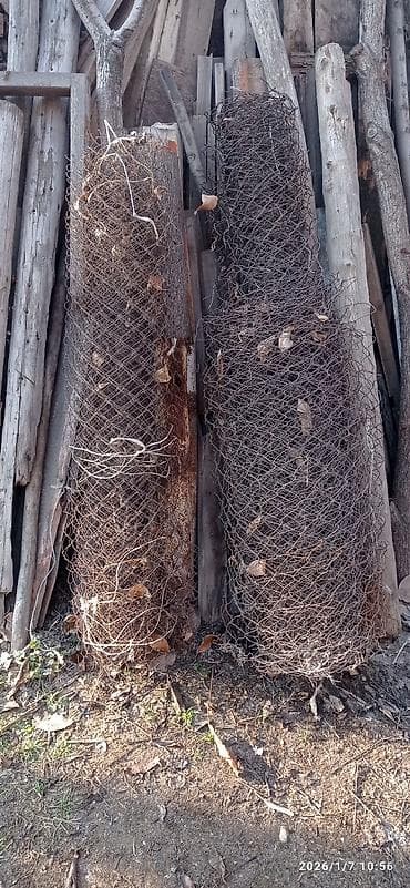 сетка для забора ош: Сетка рабица, Длина: 13 м — 2