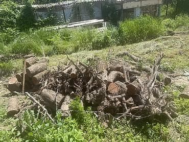 уголок для зала: Дрова — 5