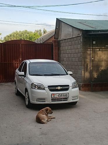 шевралет avio: Chevrolet Aveo: 2008 г., 1.2 л, Механика, Бензин, Седан — 1
