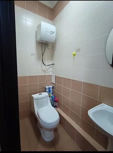 2 room flat: 2 комнаты, Собственник, Без подселения, С мебелью полностью — 8