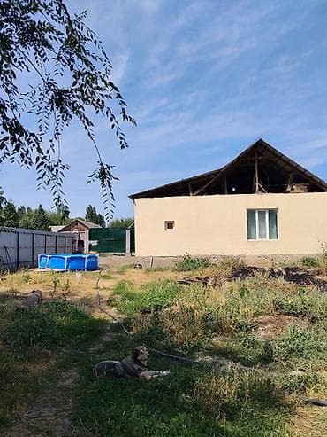 Недвижимость: С.Вознесеновка .ул Пушкина 96. Уй сатылат 36сотых жалпы аянты. баасы — 1