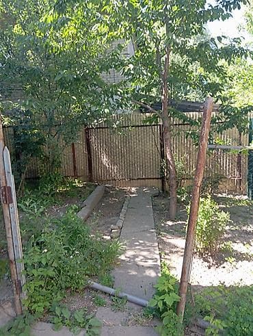 50: 3 комнаты, С мебелью полностью — 8