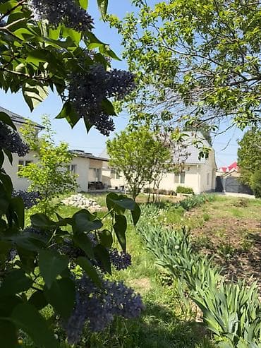 бек тоо дом: Сдается дом с отдельным входом для сезона весна-осень в районе Арча — 5