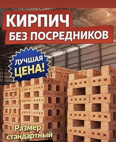 Пустотелый, дырчатый, Жженый кирпич, Полублок, 250×120×90