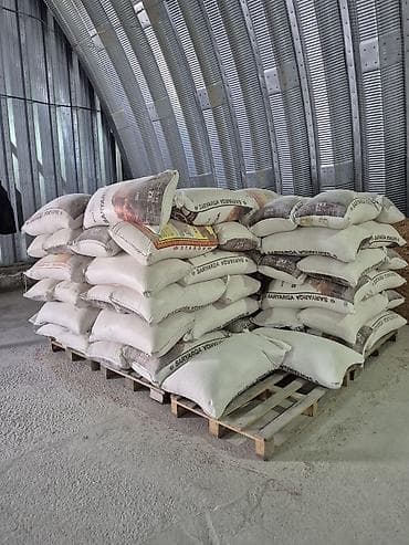 сладкая кукуруза: Продаю кукурузу оптом и в розницу россыпю по 23 сом а мешках 24 сом — 1