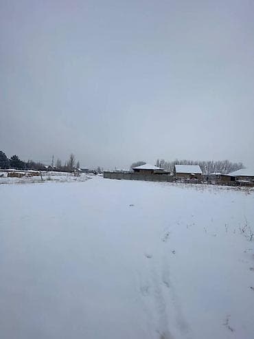 7 соток, Курулуш, Кызыл китеп