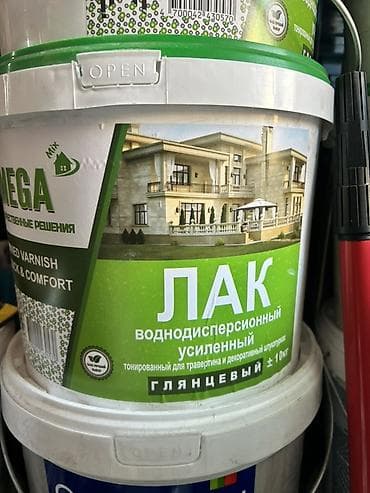 Шпаклевка: Лак воднодисперсионный усиленный, глянцевый (тонированный для — 1