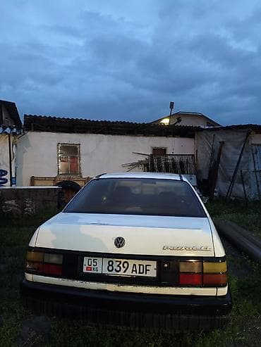nardo grey: Volkswagen Passat: 1988 г., 1.8 л, Бензин — 3