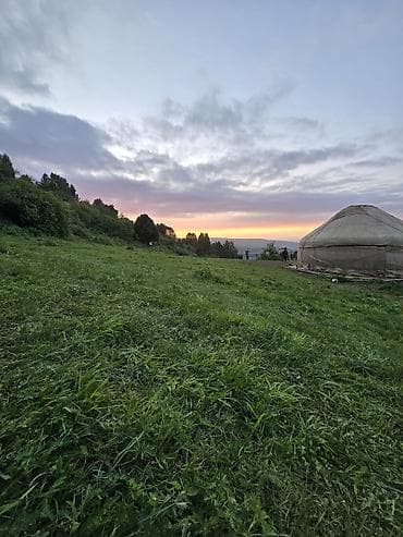 Юрты: Аренда юрты, Каркас Деревянный, 100 баш, Стол — 3