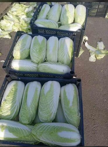 советский сервант: Ящик, Новый — 26