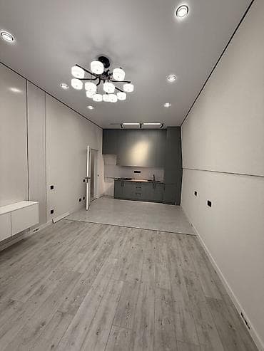 pro group: 2 комнаты, 50 м², Аламедин-1 мкр Индивидуалка, 4 этаж, Евроремонт — 3