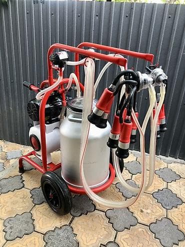 доильные аппараты melisa: Продаю турецкий доильный аппарат на две каровы в идеальном состоянии — 2