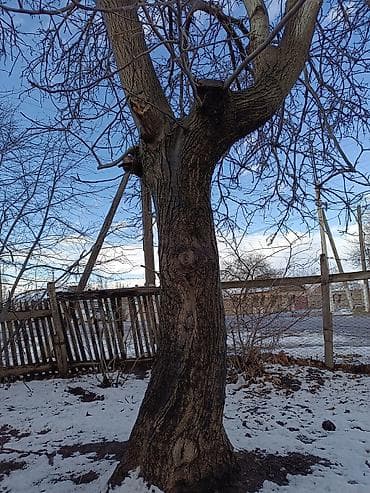 Промышленная химия: Жангак бак сатылат — 2