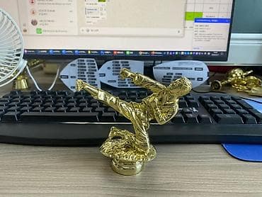Статуэтка/фигура для награды “Боевые искусства” — позолоченный