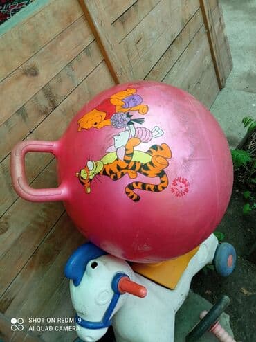 дом вещи: Үй жана бакча үчүн декор, Акылуу жеткирүү, Өзү алып кетүү — 13