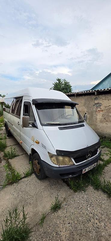 крылья спринтер: Mercedes-Benz Спринтер: 2003 г., Фургон — 3