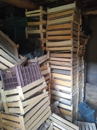 тушки кролика: Жыгач Ящик, Колдонулган — 1