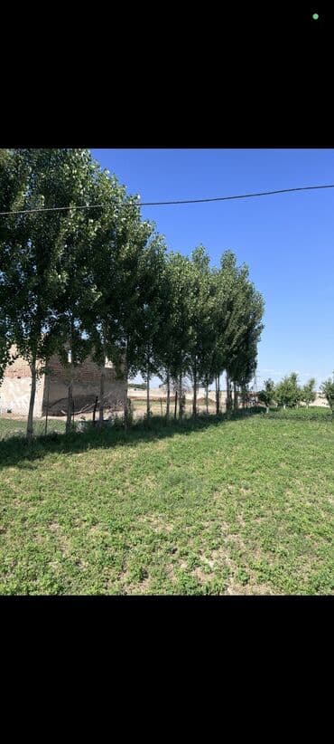 продажа дом бишкек: Дача, 140 м², 4 комнаты, Агентство недвижимости, Евроремонт — 5