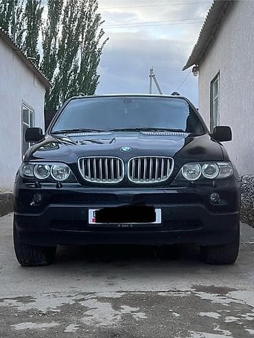 BMW: BMW X5: 2004 г., 4.4 л, Автомат, Бензин, Внедорожник — 2