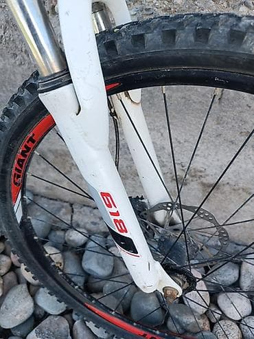 maxxis 29: Горный велосипед, Giant, Рама S (145 - 165 см), Алюминий — 4