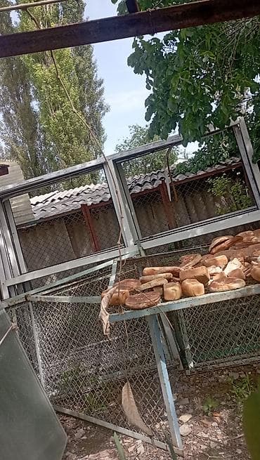 крыша жасайбыз: - Пластиковые оконные рамы размер 3м на 2.м.можно использовать для — 1