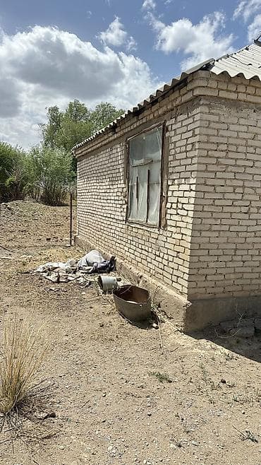 земля га: Продается кошар для скота с чабанским 2 комнатным домом из селикатного — 5