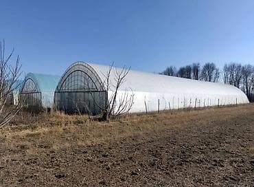 подсобный хозяйства: 300 соток, Для бизнеса, Тех паспорт — 10