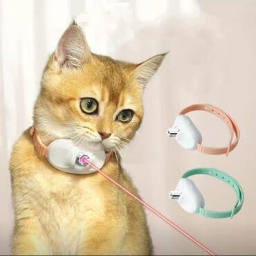 переноска для кошек бу: Зоотовары.
Игрушки для животных — 2