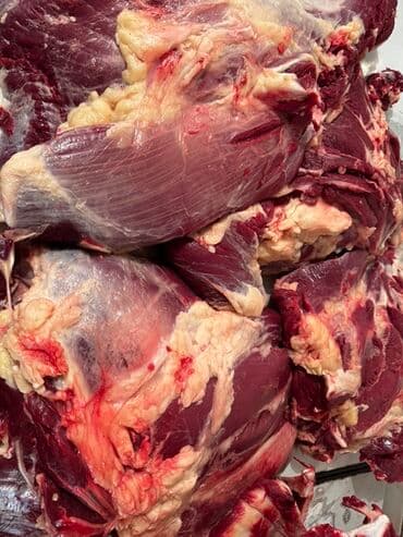 Говядина : Филе, Бесплатная доставка at lalafo.kg Говядина : Филе, Бесплатная доставка