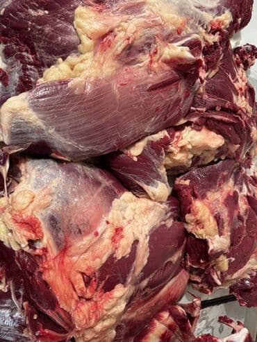 мясо в бишкеке цена: Говядина : Филе, Более 10 кг, Бесплатная доставка — 4