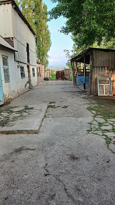 студия записи: 🚨 Срочно продаётся большой кирпичный дом с участком 18 соток! 📍 — 5