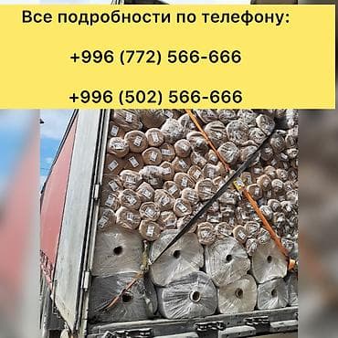 ковры ош: Килем Жаңы, Түркия, Накталай эмес/накталай төлөм — 6