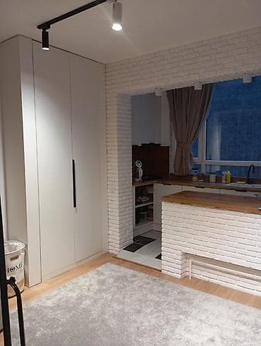 аренда общежития: 1 комната, 26 м², 3 этаж, Дизайнерский ремонт — 4