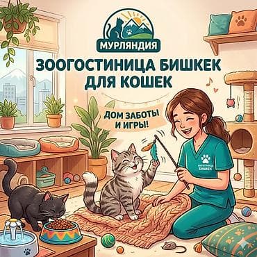 Гостиница для кошечек и маленьких собачек до 5 кг Предлагаем