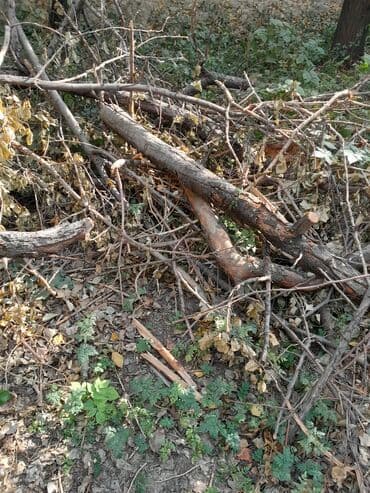 уголь шашлык: Дрова — 4